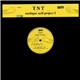 TNT - Analogue Acid Project 3