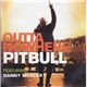 Pitbull Feat. Danny Mercer - Outta Nowhere