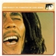 Bob Marley vs. Funkstar De Luxe - Sun Is Shining